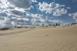 desert-2382745_1280.jpg