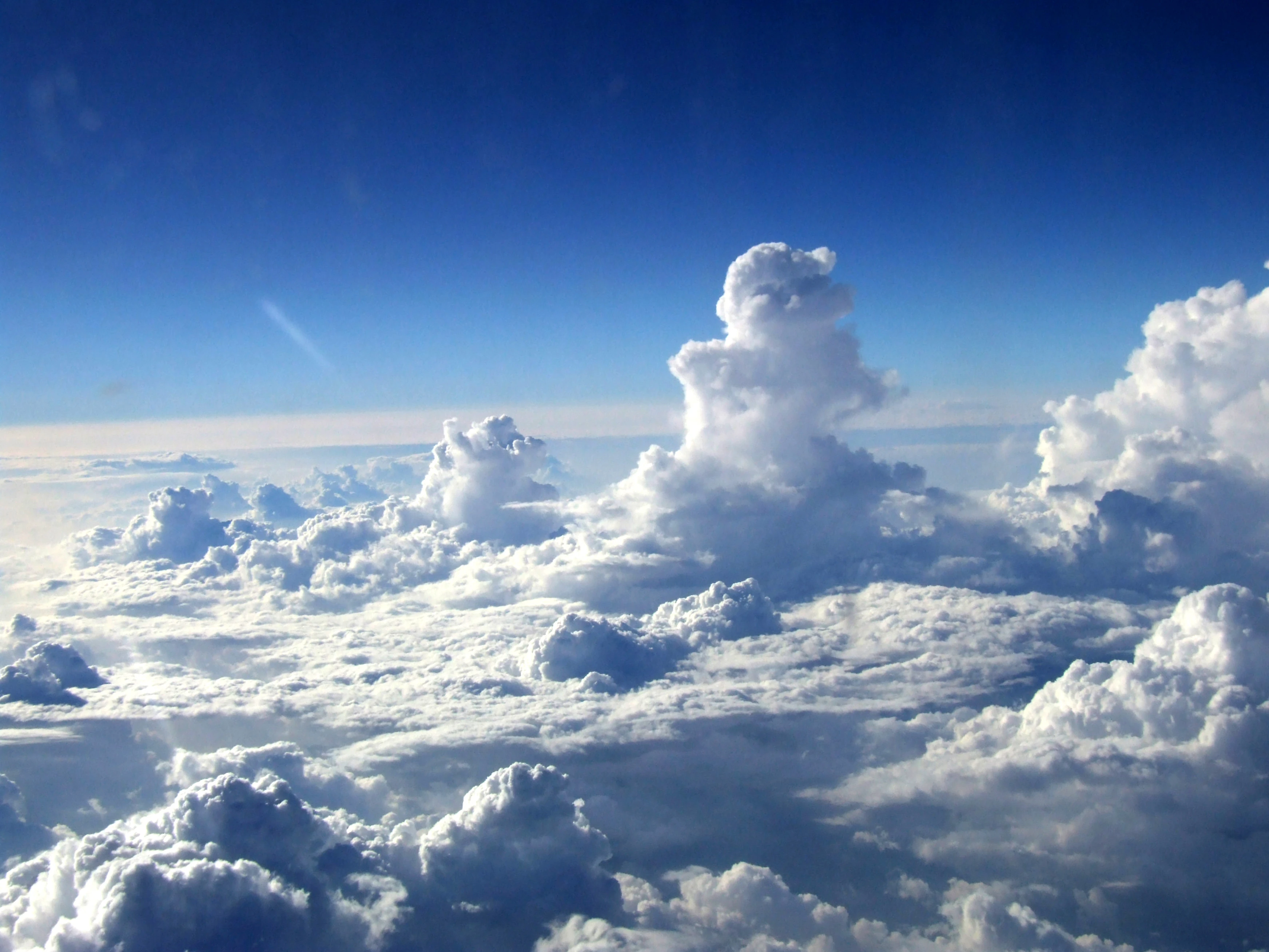 262214eeb7658f1d.webp
