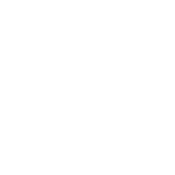 sddz-mega.png