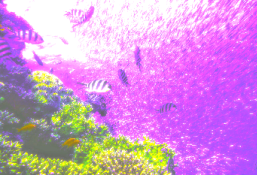 Image_1749309689244.png