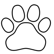 DD057B31-FED7-44EF-BD1F-0641C3208EB6-removebg-preview.png