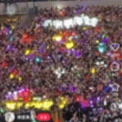 IMG_3348.gif