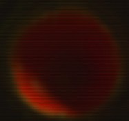 retouch_2025083015144503.jpg