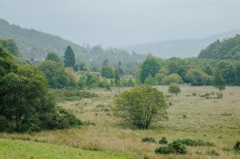 da01cd06841aa944.jpg