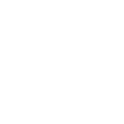 Vitruviano.png