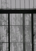 Image_22078083416007.png