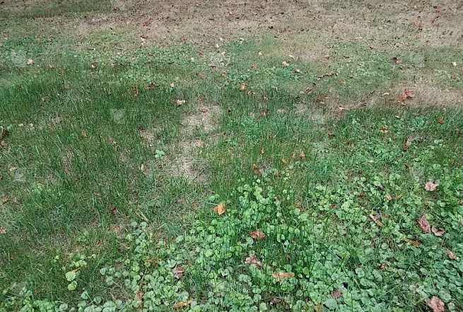 屏幕快照 2025-12-21 上午11_20_13.png