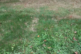 屏幕快照 2025-12-21 上午11_20_13.png