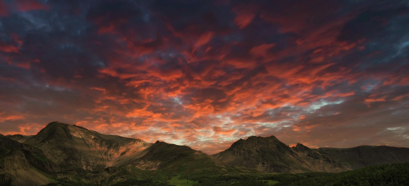 屏幕快照 2026-01-17 下午3_39_48.png