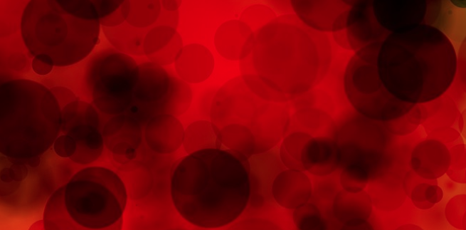 屏幕快照 2026-02-06 下午7_09_39.png