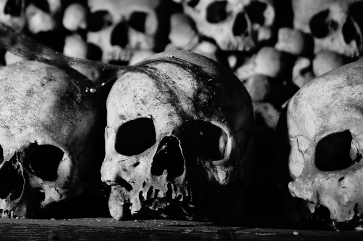 屏幕快照 2026-02-09 下午11_00_50.png