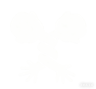 图片黑白反转 (2).png