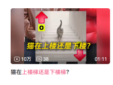 批注 2026-03-20 230810.png