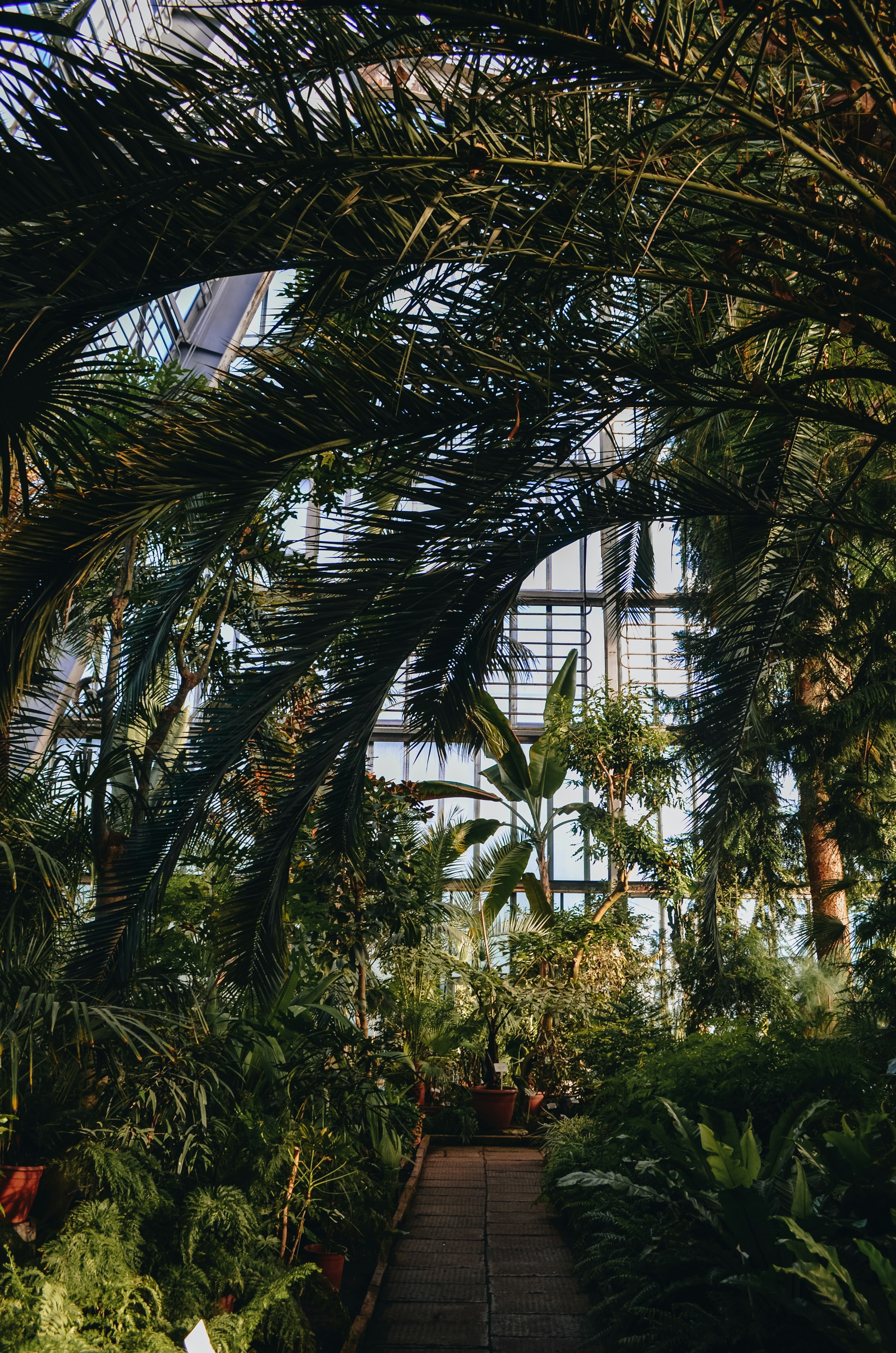 oskaras-verbickas-PRllh5FjYgI-unsplash (1).jpg