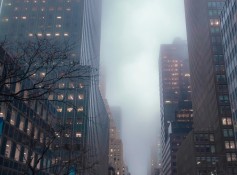 pexels-leofallflat-1737958_edit_49406803500683.jpg