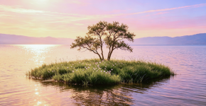 IMG_20260530_153041.png