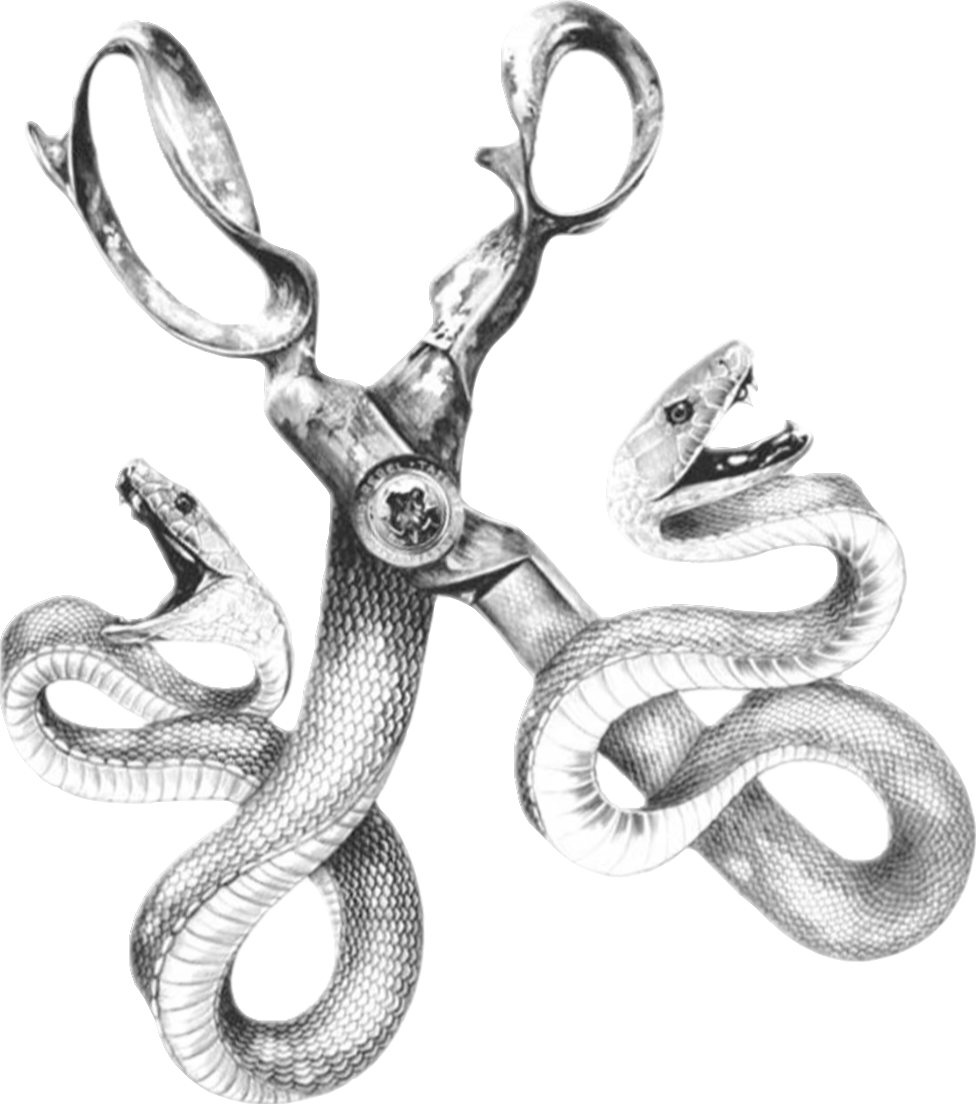 Segment_20251228_002128663.png