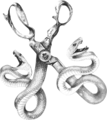 Segment_20251228_002128663.png