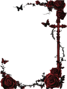 Segment_20260513_064124684.png