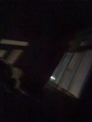 1780081966578.jpeg