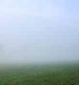 IMG_20260313_184738_307.jpg