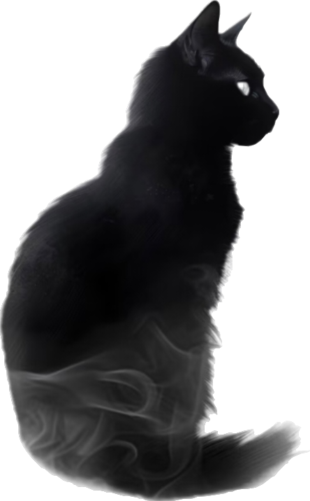 Segment_20260513_034555108.png