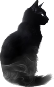 Segment_20260513_034555108.png
