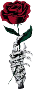 Segment_20260524_034021716.png