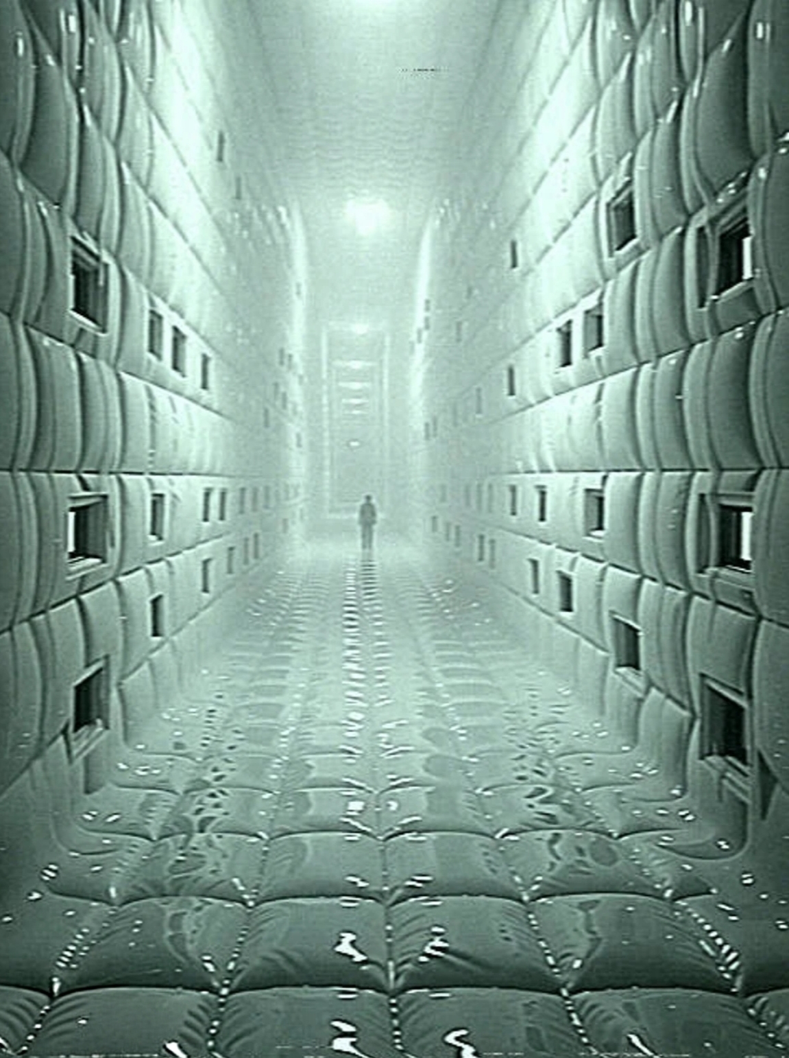 1000032947.jpg