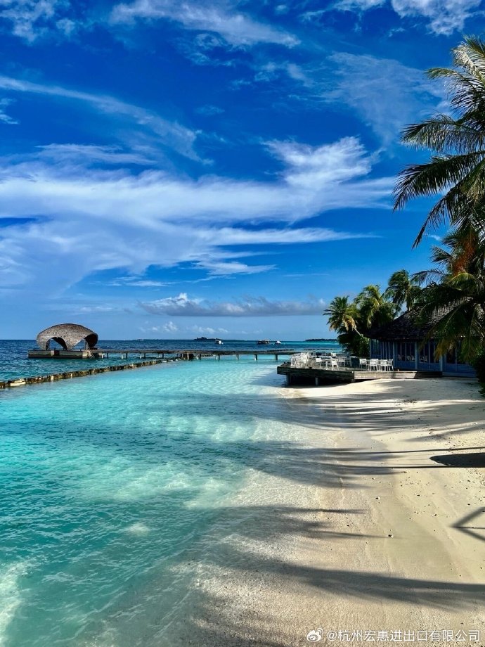 97bae4e3gy1i2setxu6n0j20u014046x.jpg