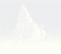 gt_2026728_51756_g_crop.gif