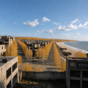 20260718033932-金色树叶.png