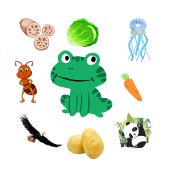 第37组.png