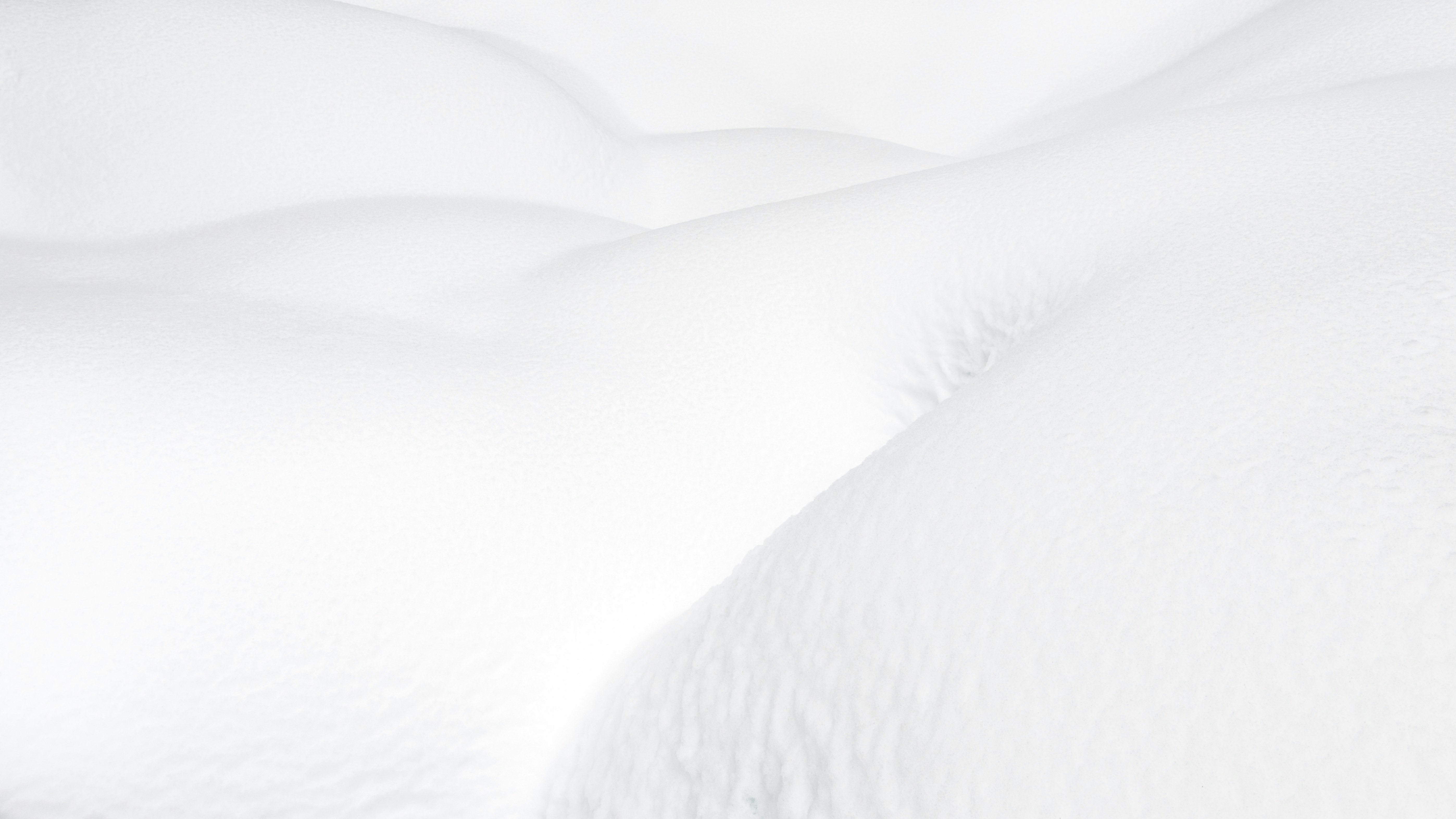 greg-rosenke-kr67X9ralR0-unsplash (1).jpg