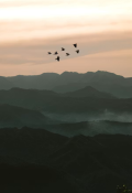 photo-1597925428895-88e78e3f2011.png