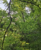 IMG_20260702_200210.jpg