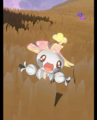 screenshot_20260716_172631_com_xingin_xhs_hos.png