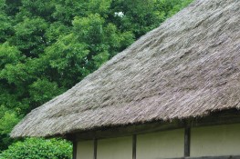 茅屋.jpg