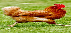 6cf5e27cfda010e7.png