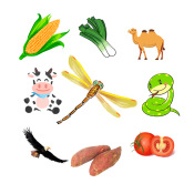 第33组.png