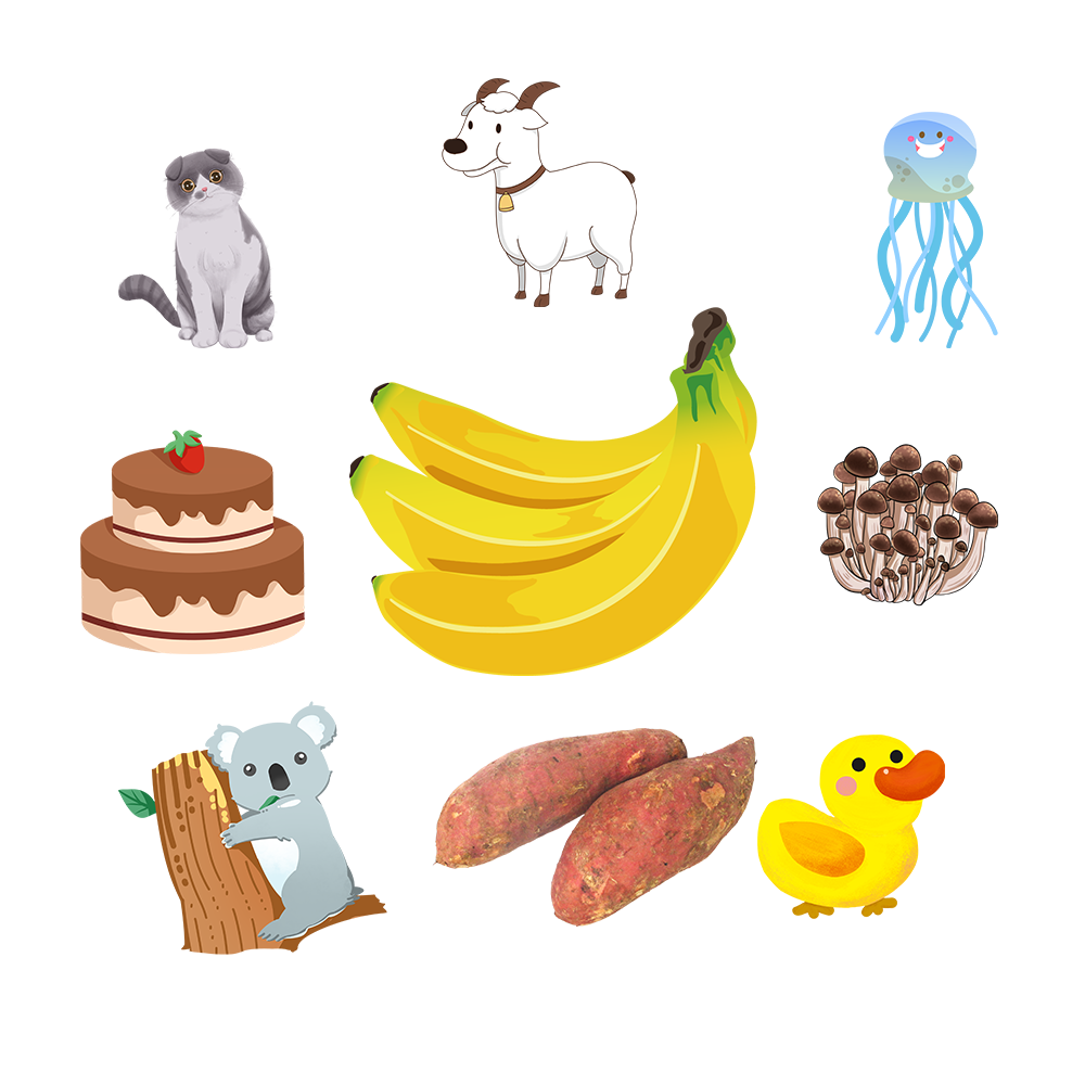 第65组.png