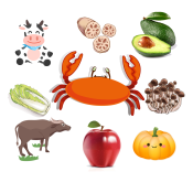 第58组.png