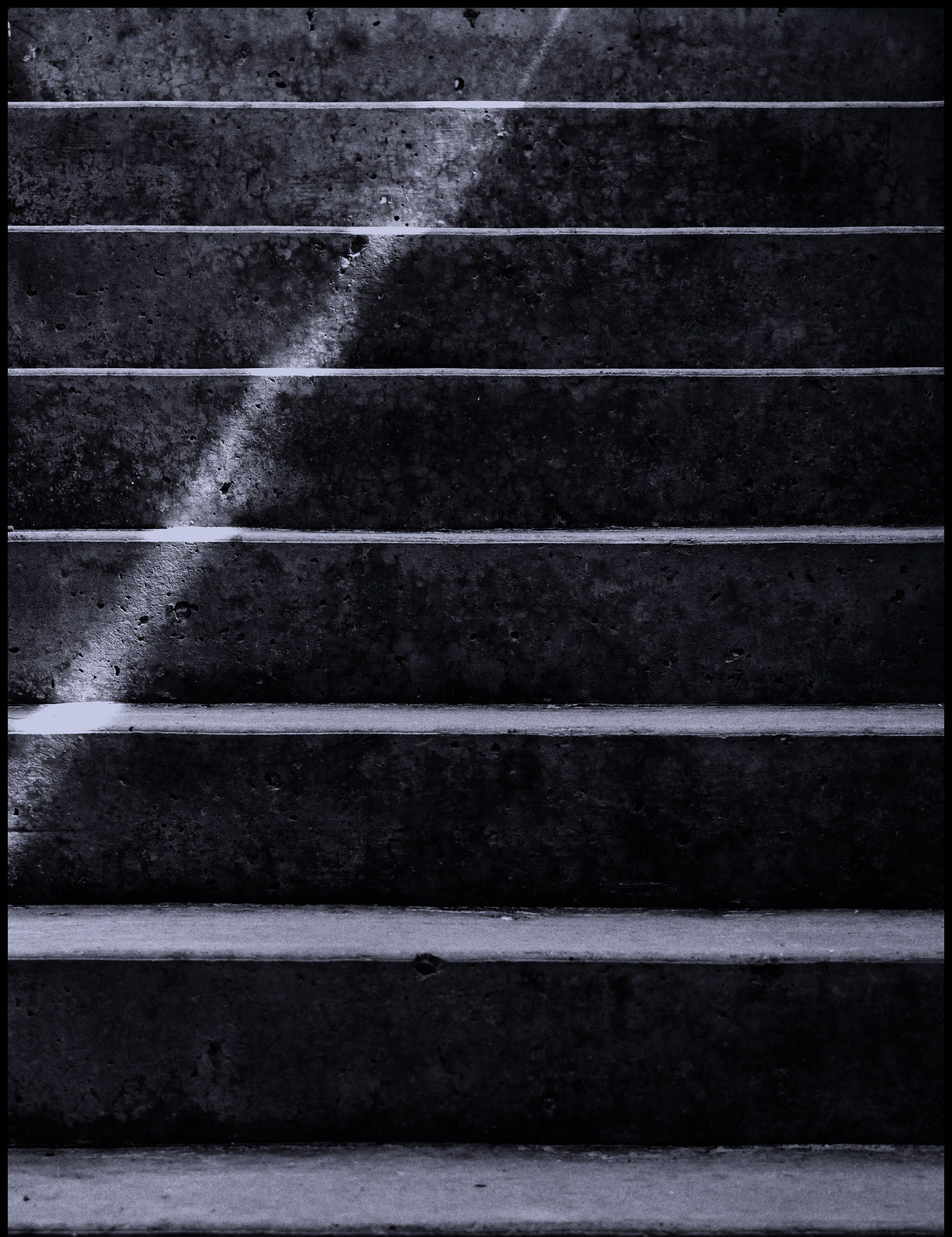 rsz_scott-webb--wwglapd2sy-unsplash.jpg