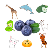第32组.png