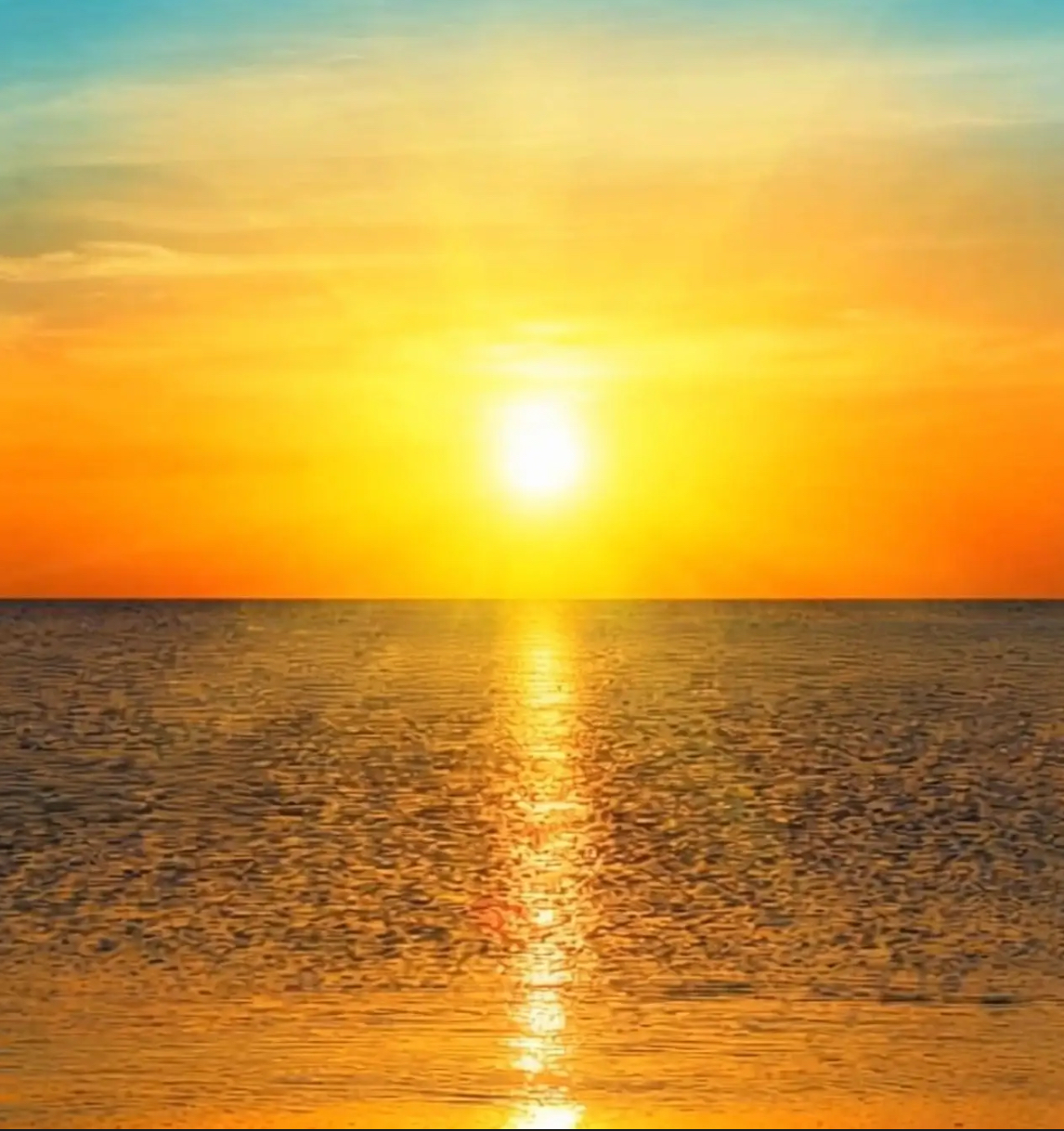 F61D248F-18B3-4FC7-8A38-4B836AE28CF1.jpeg