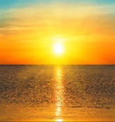F61D248F-18B3-4FC7-8A38-4B836AE28CF1.jpeg