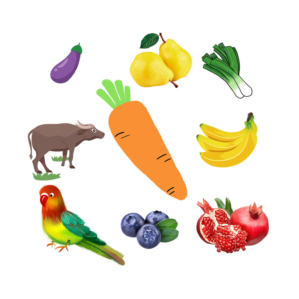 第53组.png