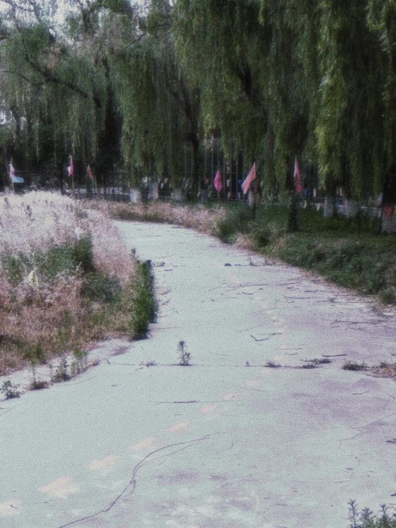 79703bf90851f2064beb0e0745888cb2.jpeg