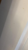 OLDL1.png