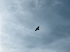 IMG_20260710_212729.png